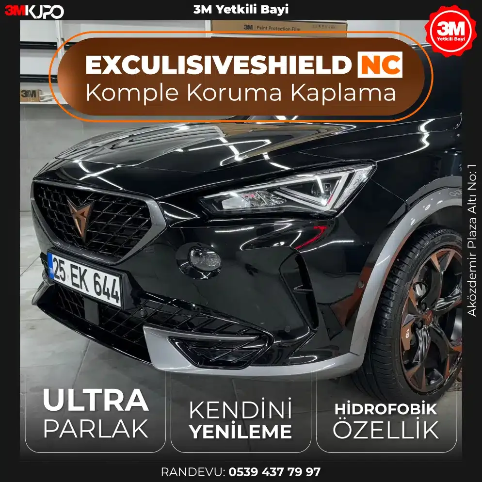 07.webp