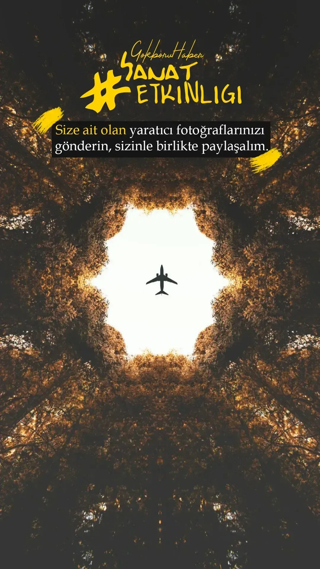 01.webp