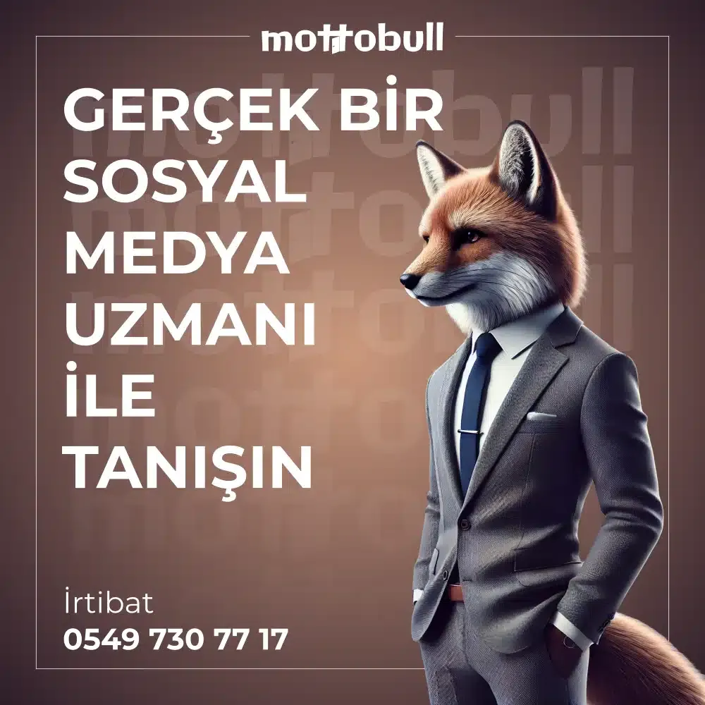 02.webp