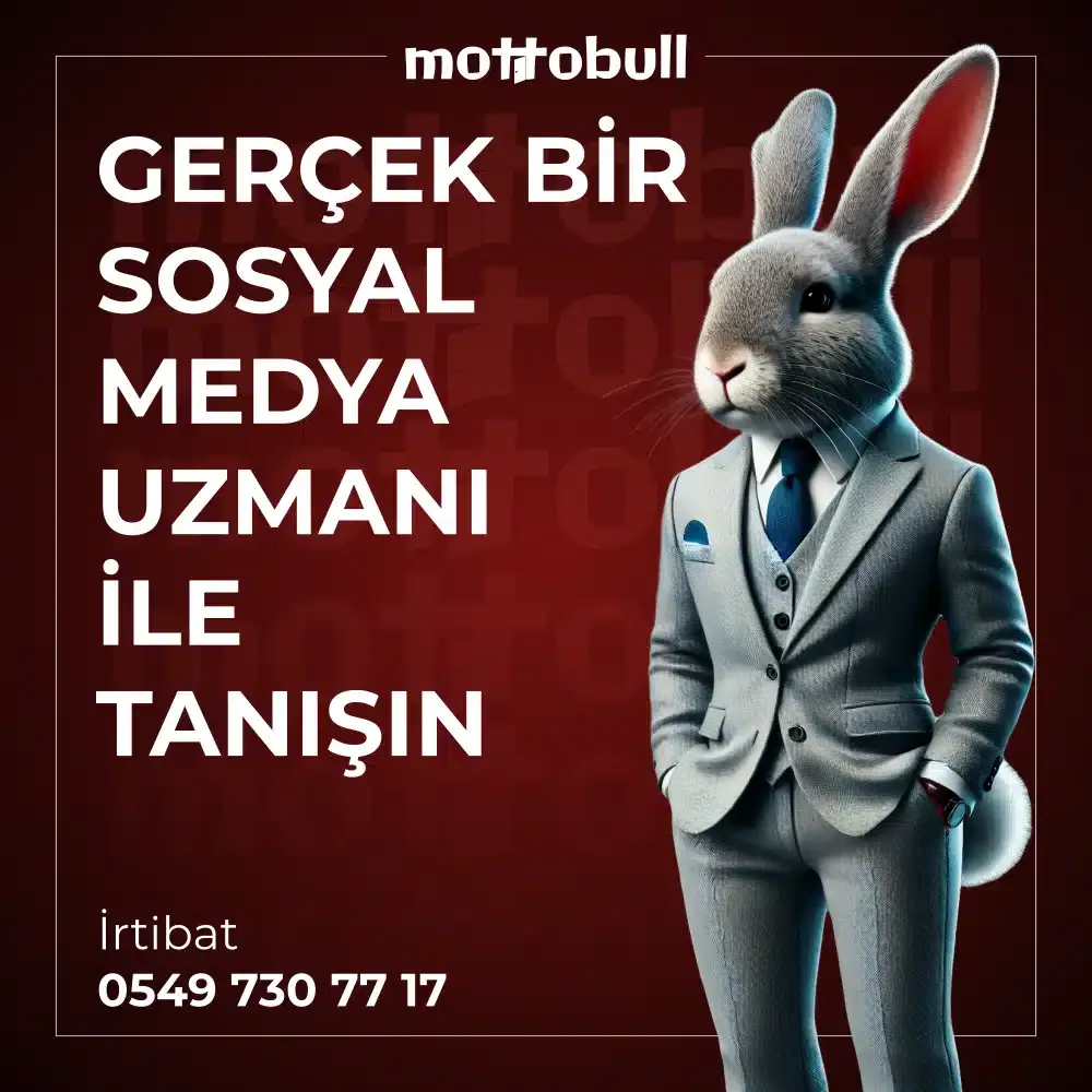 03.webp