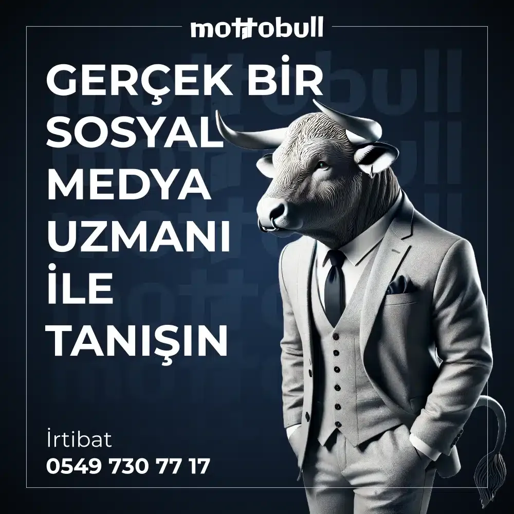 06.webp