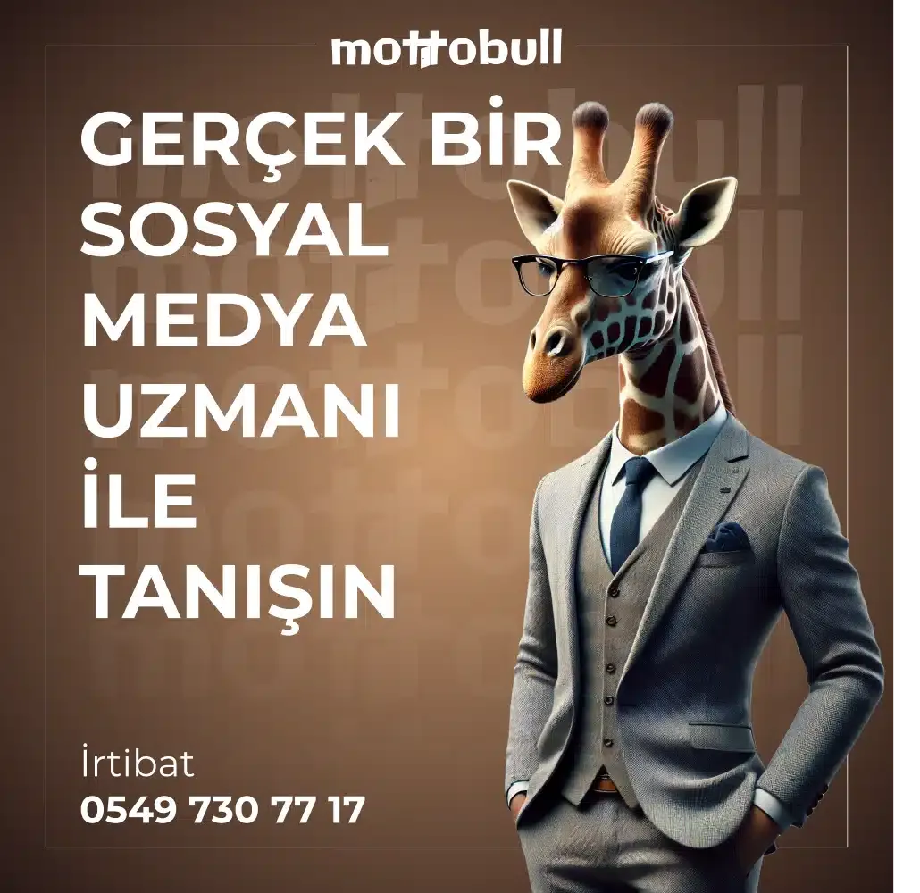07.webp