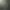 06.webp