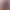 07.webp