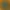 01.webp