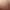 01.webp