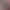 02.webp