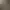 02.webp