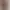 09.webp