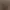13.webp