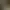 14.webp
