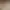 08.webp