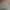 09.webp