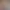 02.webp