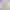 04.webp