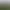 03.webp