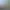 02.webp
